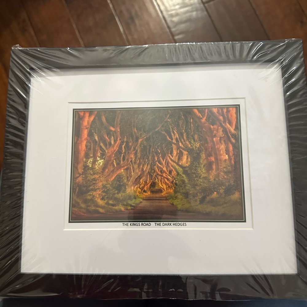 Framed Art Print The Dark Hedges Game of Thrones Bought in Northern Ireland New